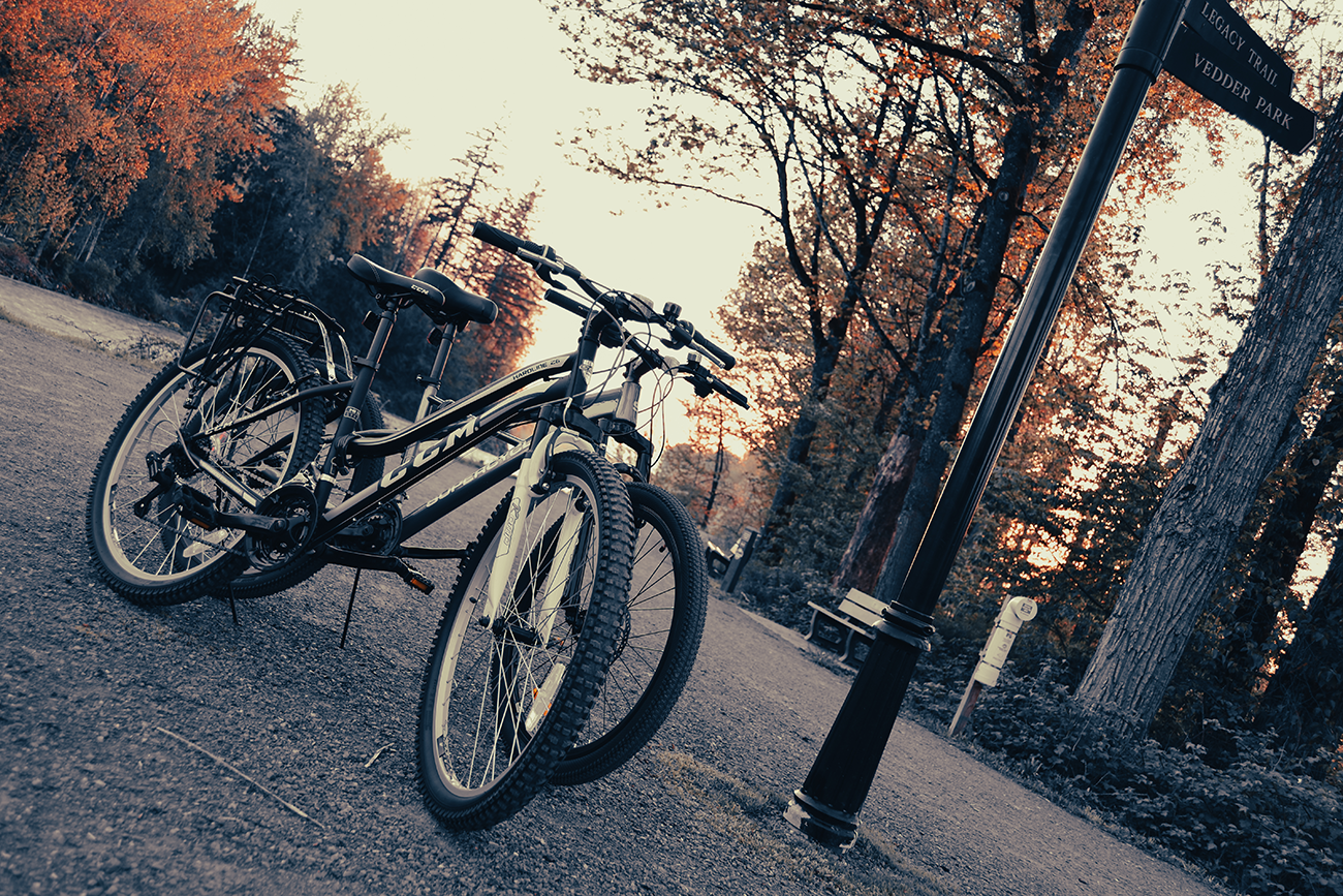 Vedder Park Bicycle Pickup Chilliwack